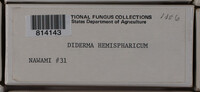 Diderma hemisphaericum image